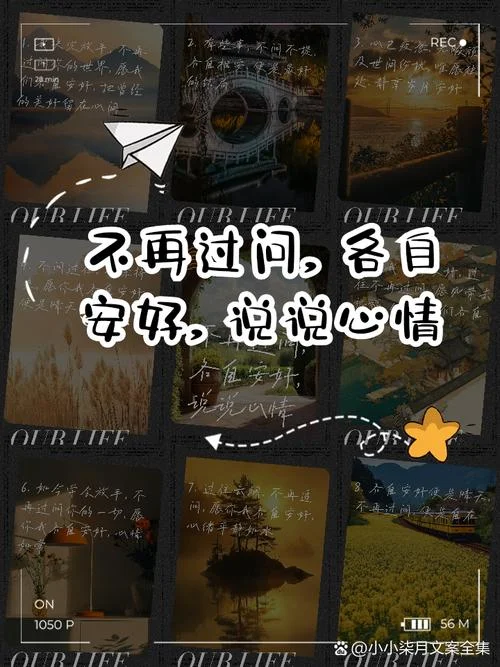 放弃前途的说说_1