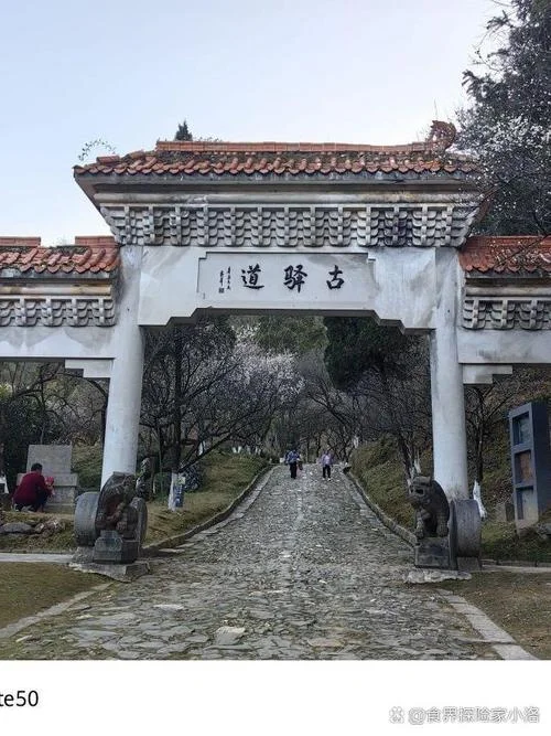 江西大余十大景点-江西大余十大景点