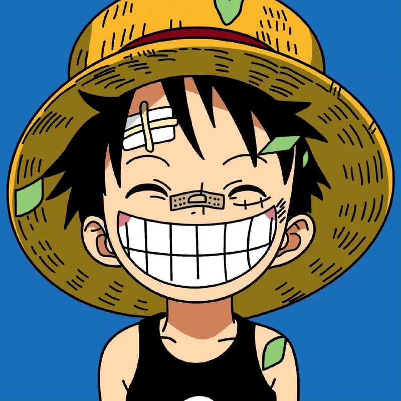 抖音很火的海贼王头像_1