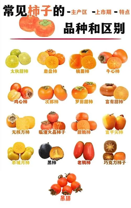 柿子产地简介_2