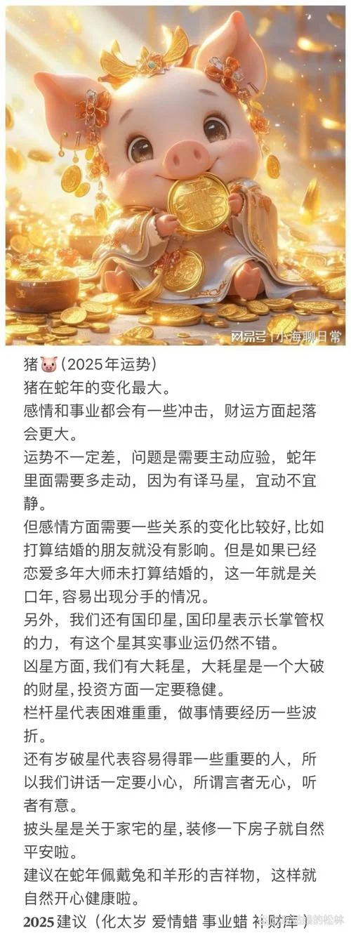 属猪人遇虎年运势如何_1