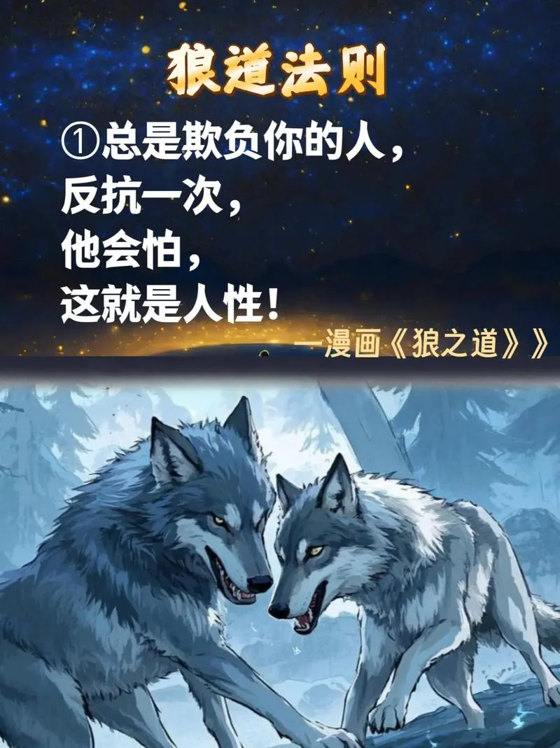 狼道告诉我们什么道理-狼道启示人生道理