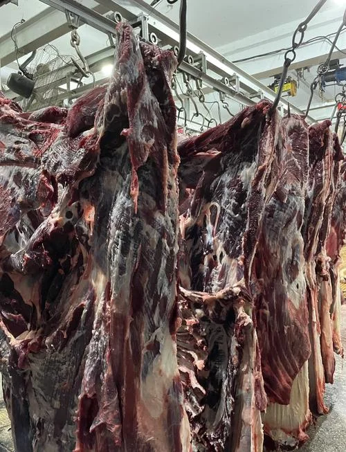 梦见买生牛肉_2