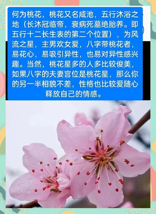 八字测算命中桃花_2