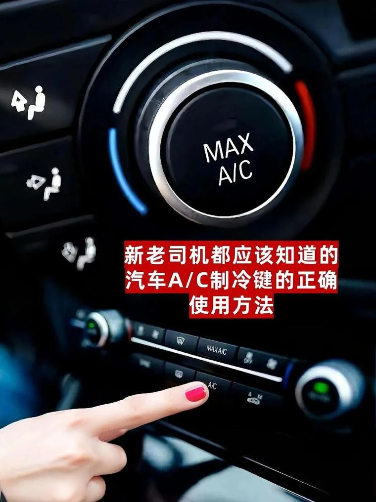 车上空调dual什么意思_2
