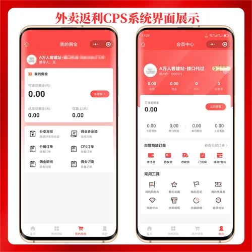 淘客app简介字_2