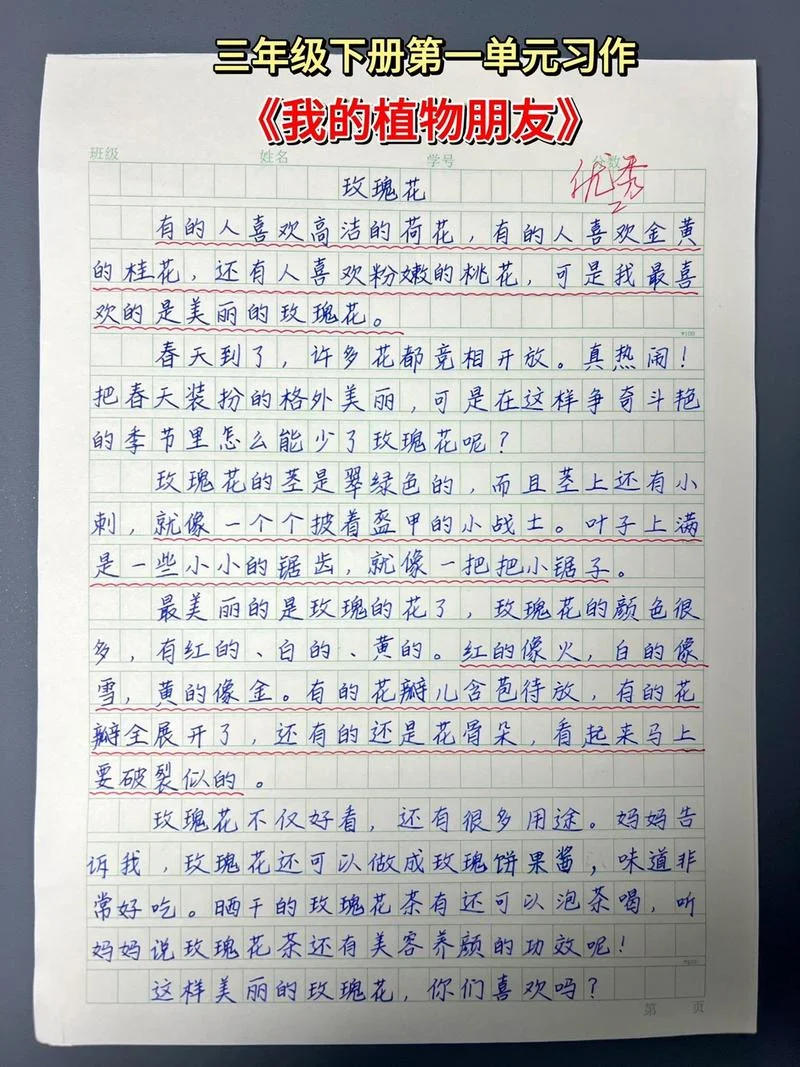 写花的作文100字-写花作文精选