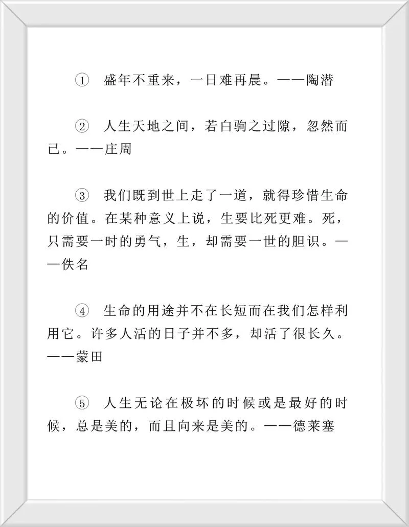 名人传好句感悟-名人传好句感悟浓缩