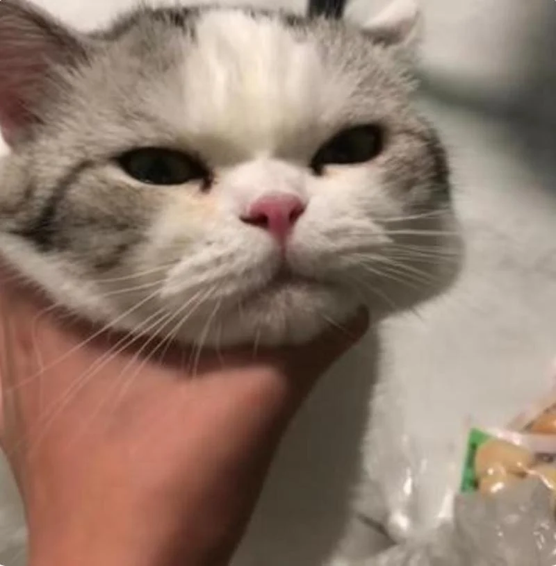 吃了我的给吐出来出处-吃我吐出来