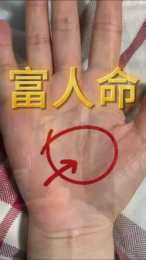 企业家大富豪手相-富豪手相解读
