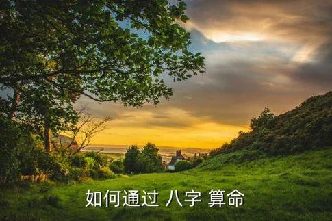 梦见有人给我算命_1