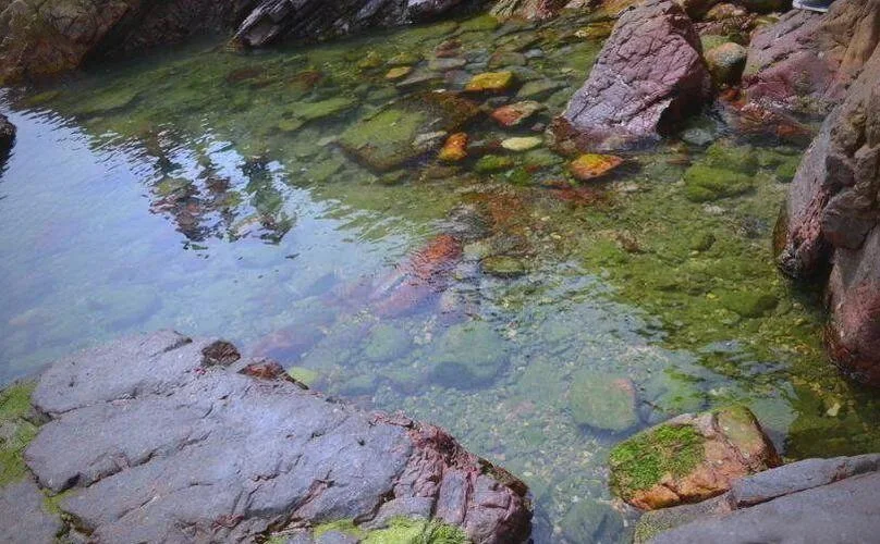 梦见河里涨清水是什么征兆_1
