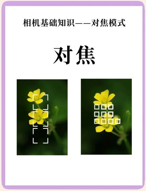 什么是光学变焦和数码变焦-光学与数码变焦区别
