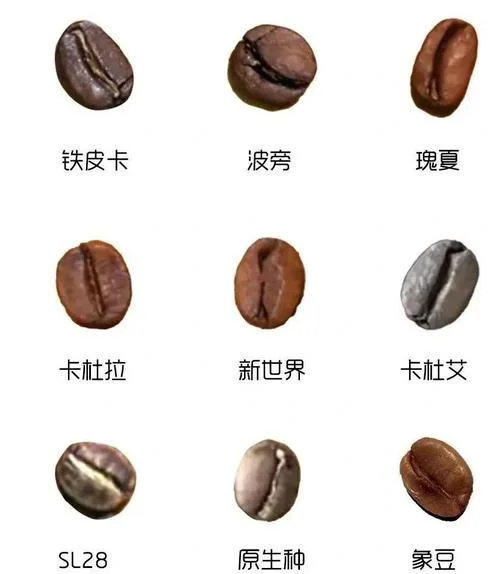 梦见咖啡豆啥意思_1