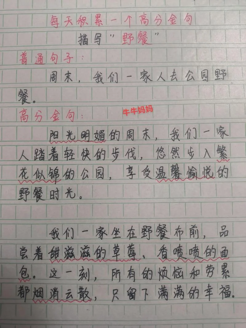 野炊作文怎么写_2