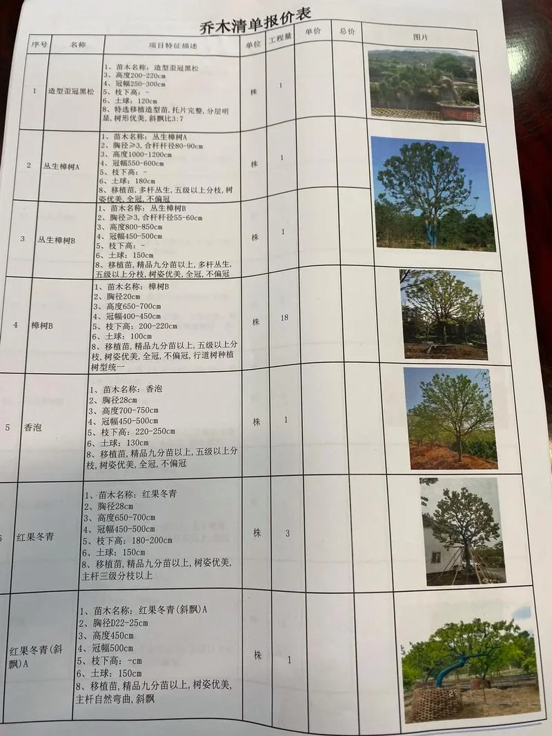 绿化苗木价格认证单-苗木价格认证单