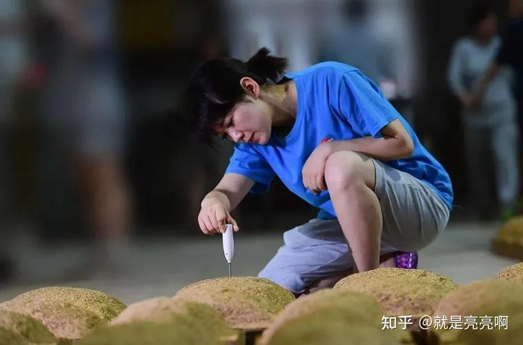 制曲心得体会-制曲心得总结