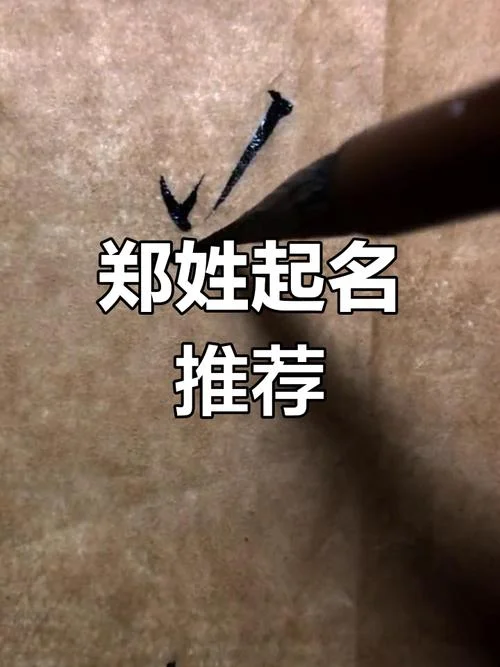 郑姓男孩起名简单-郑姓男孩起名简单
