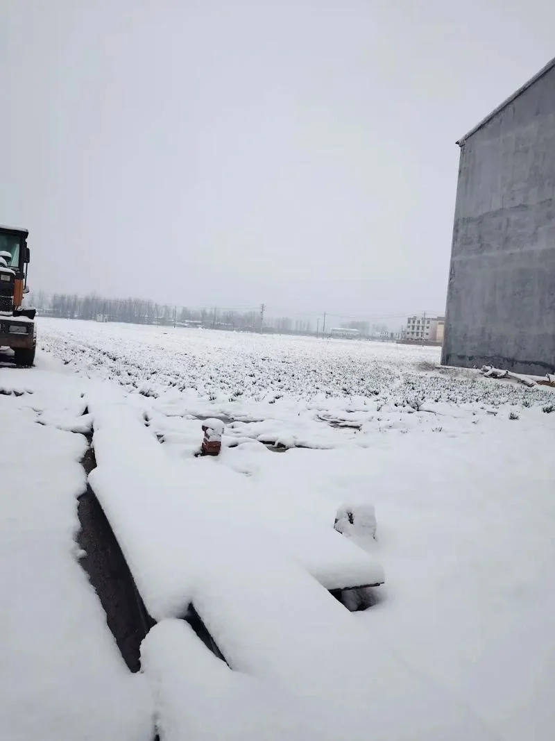梦见雪后铲雪-雪后铲雪梦