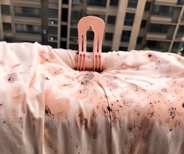 梦到被子被雨淋湿_2