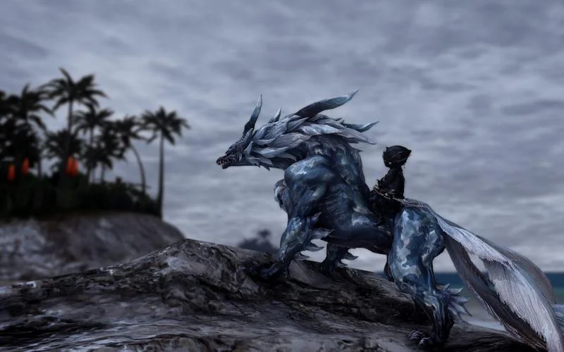 ff14所有坐骑出处2018-FF14 坐骑出处 2018