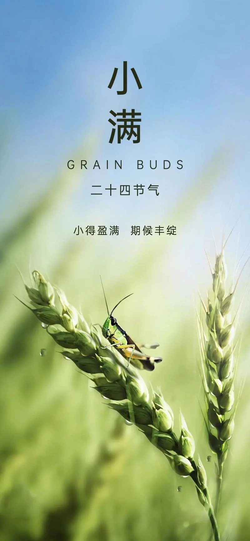 每年小满是几月几号_2