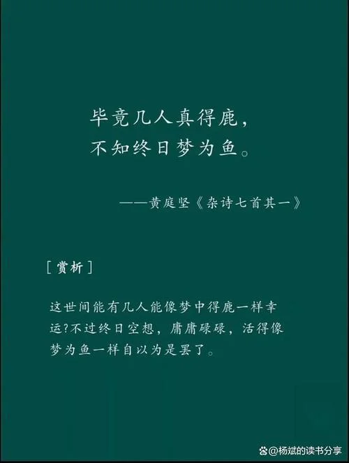 醒醒,别做梦了类似文_2