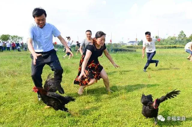 梦见抓鸡没抓到_2