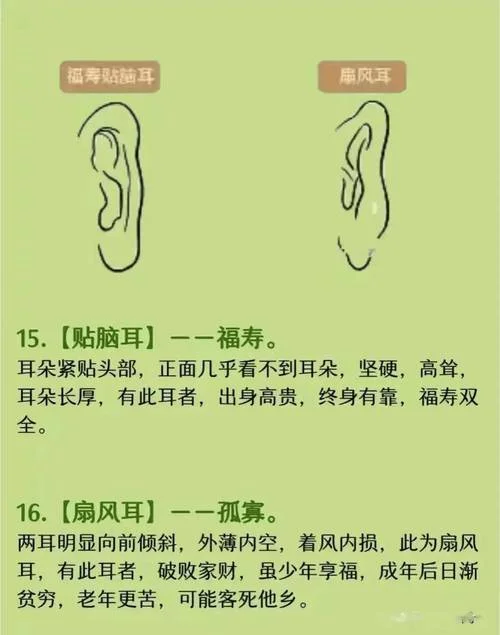耳朵看面相大全图解_1