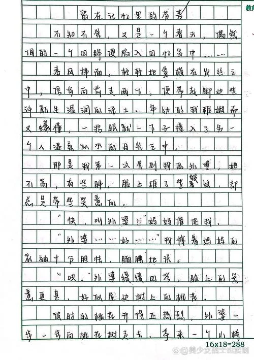 情感体验作文写事-情感体验写事作文