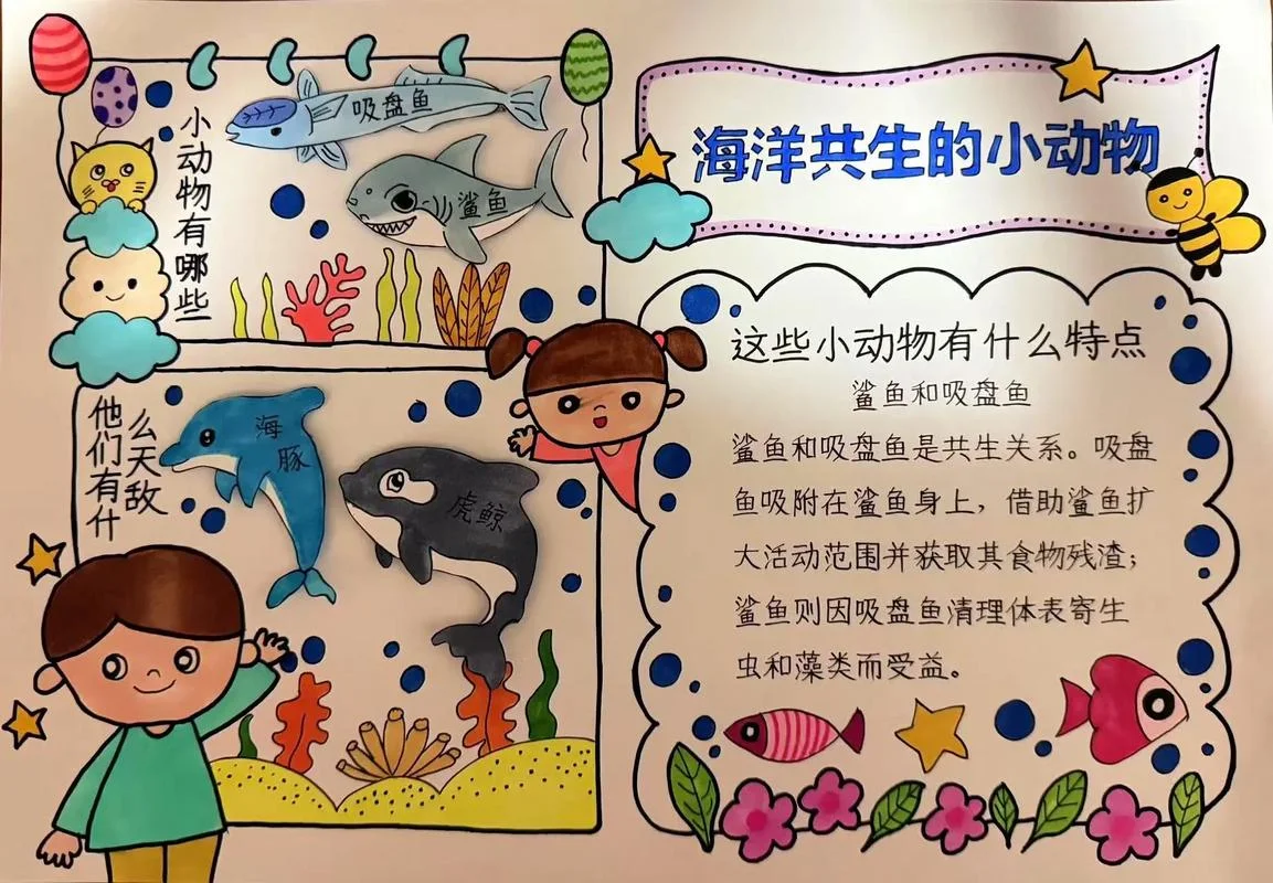 海洋知识手抄报内容100字-海洋知识手抄报简