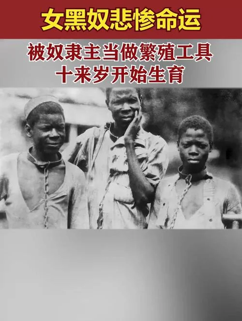 黑奴贩卖的历史_1
