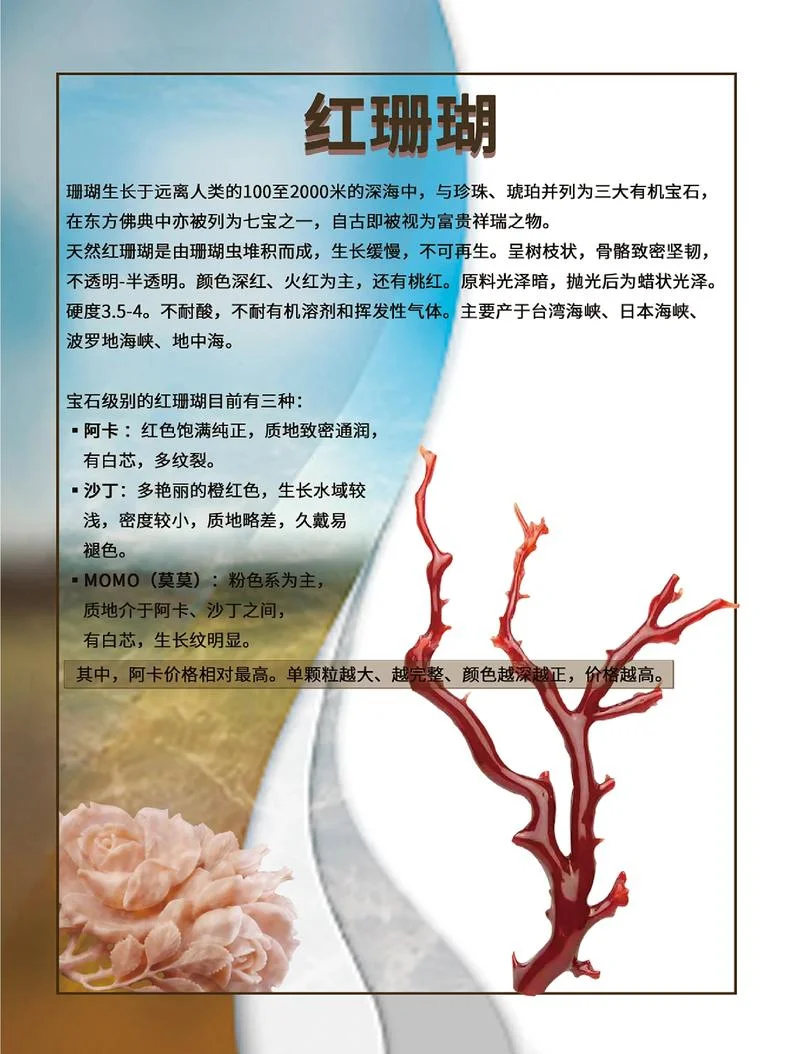 珊瑚是什么美容项目_2