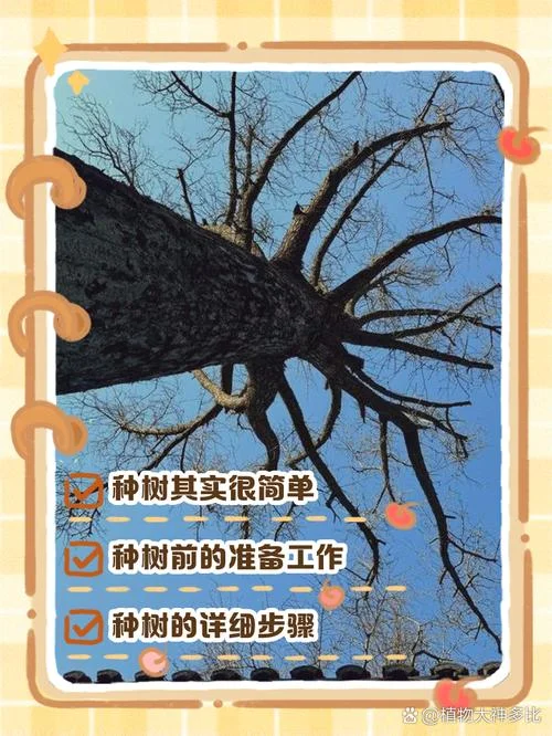 梦见种树是什么预兆解梦女性_1