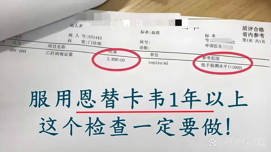 hbvdna检测多少钱_2