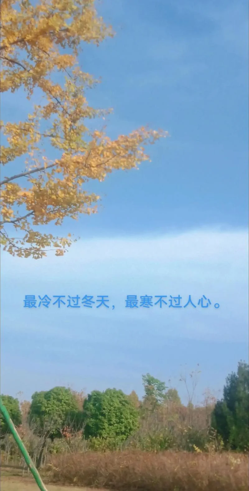冷到怀疑人生的说说-冷到怀疑人生