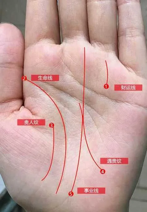 女生事业线手相_2