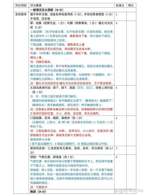 健康评估怎么写_1