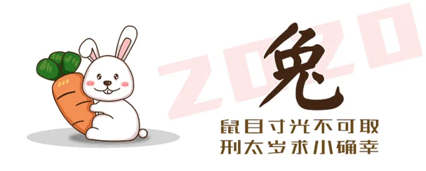 2020年属兔男全年运势如何_2
