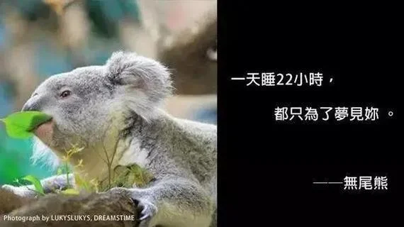 梦见撩妹_2