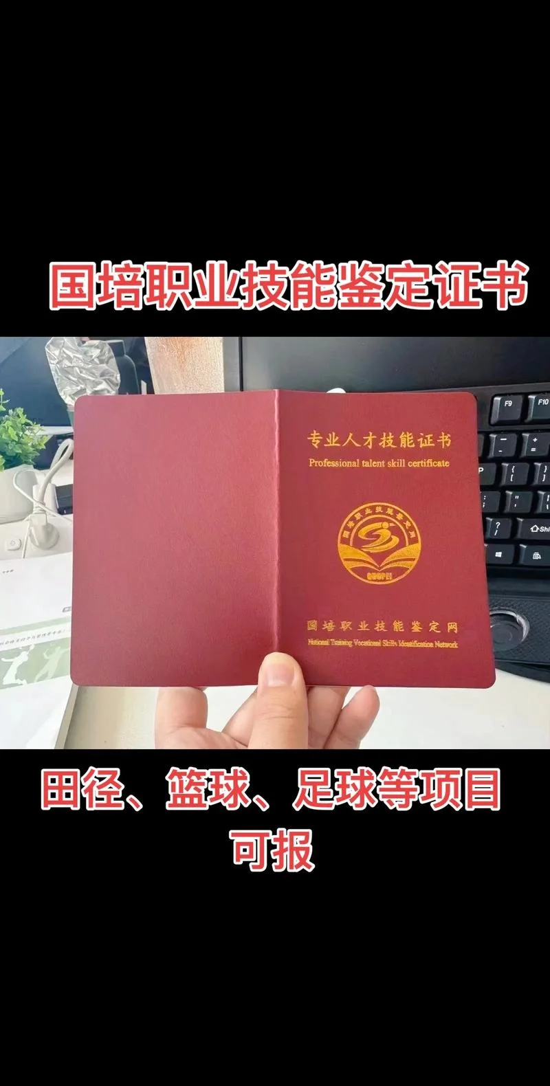 中国职业证书查询网_2