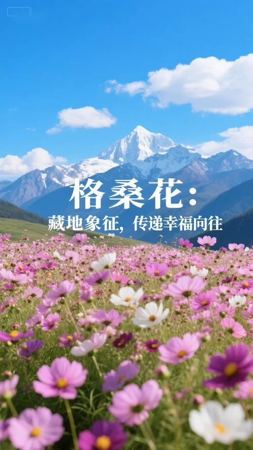 格桑花花语朋友圈说说_2