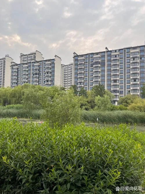 梦见登高楼_2
