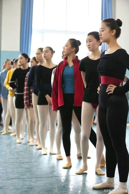 舞蹈艺考有什么舞种-舞蹈艺考选舞种