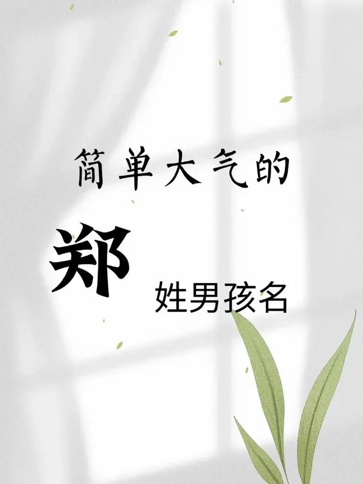 男孩起名姓郑-郑姓男孩起名