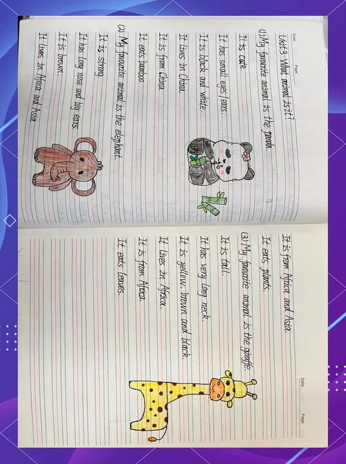 海豹单词英语怎么写-海豹单词怎么写