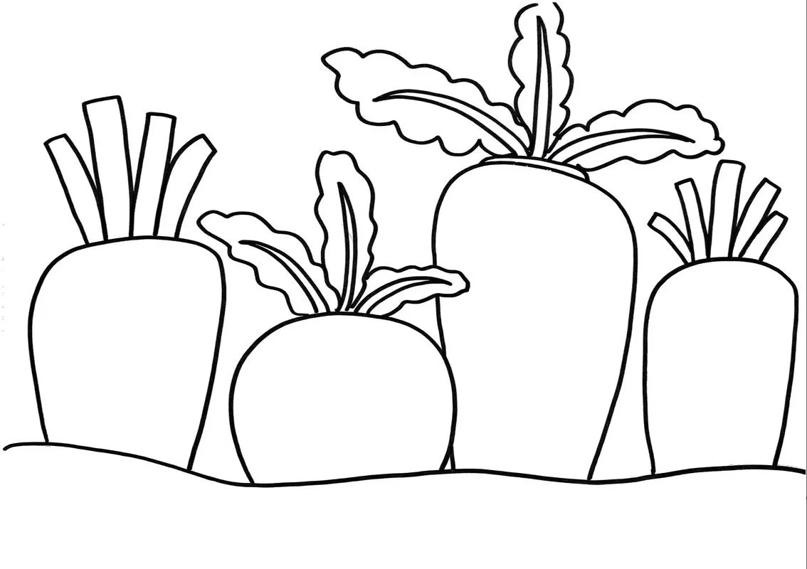 萝卜白菜简笔画_2