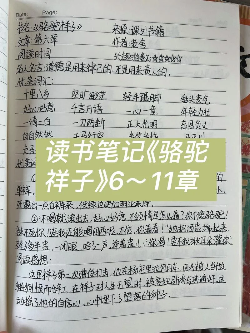 骆驼祥子1至5章读后感-骆驼祥子五章读后感