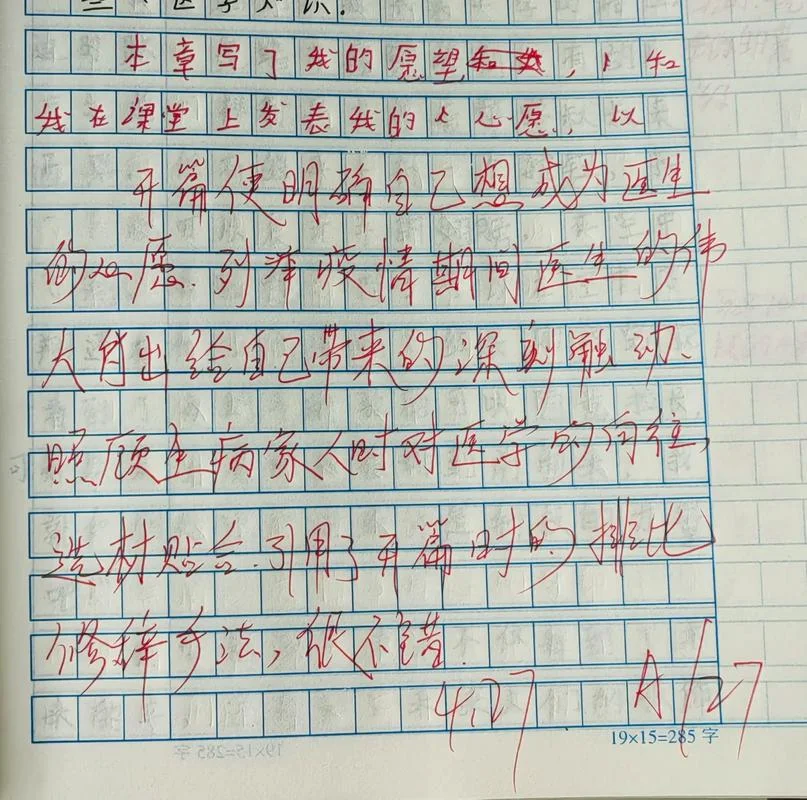 抄的作文怎么写评语-抄作文评语撰写