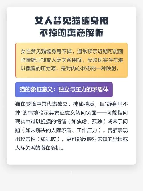 女人梦见抓猫好不好_2